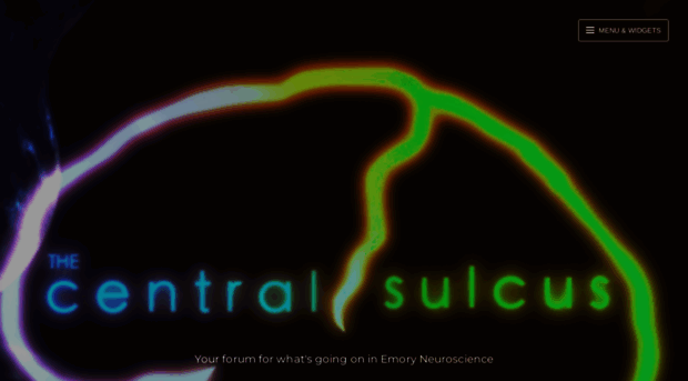 thecentralsulcus.wordpress.com