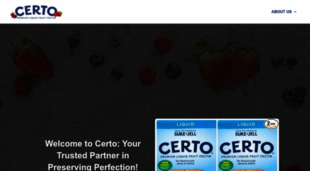 thecerto.com