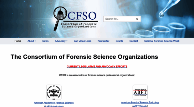 thecfso.org