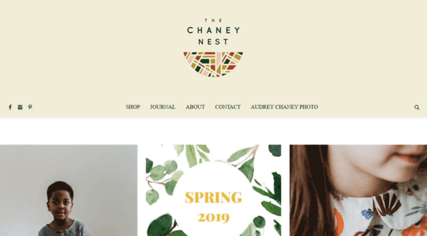 thechaneynest.com