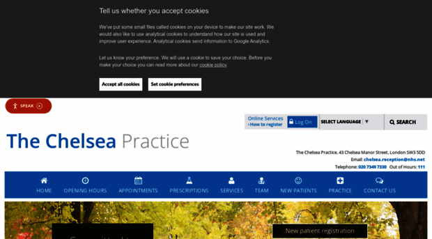 thechelseapractice.org.uk