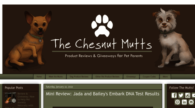 thechesnutmutts.com