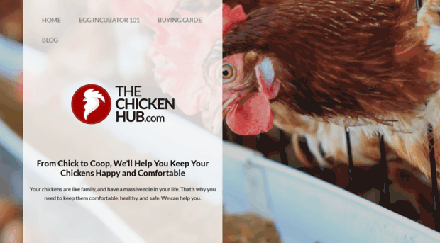 thechickenhub.com