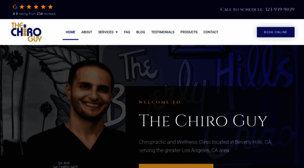 thechiroguy.com