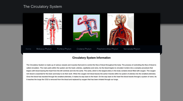 thecirculatorysys.weebly.com