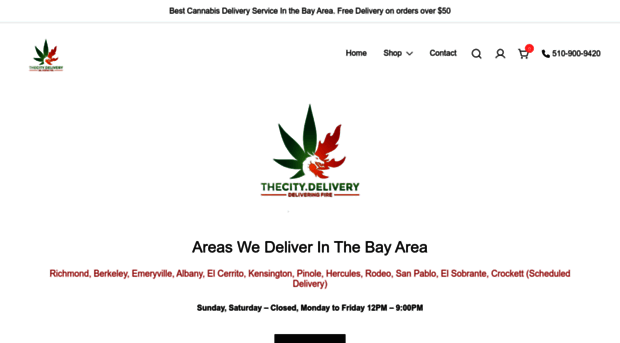 thecitydelivery.com