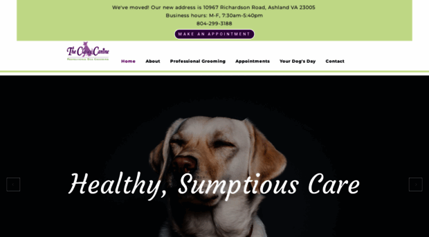 theclassycanine.com