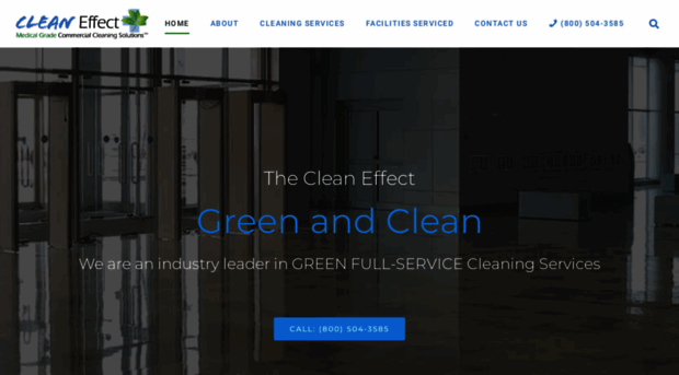 thecleaneffect.com