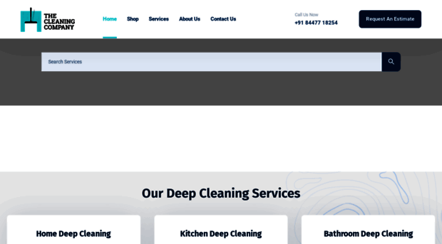 thecleaning.company