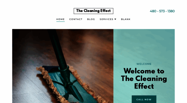thecleaningeffect.com