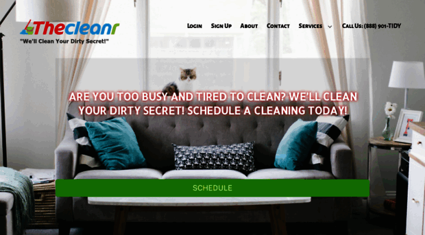 thecleanr.com