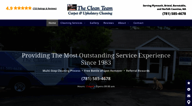 thecleanteam.net