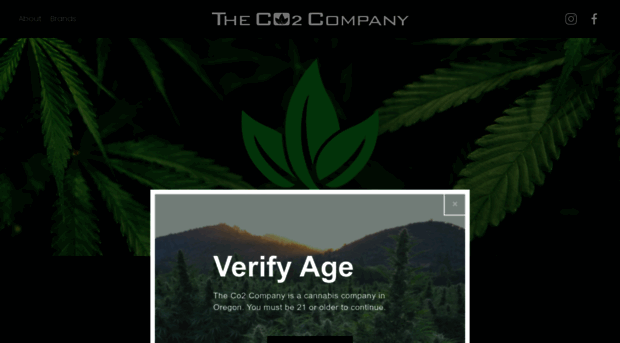 theco2company.com