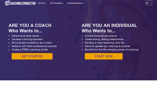 thecoachingconnector.com