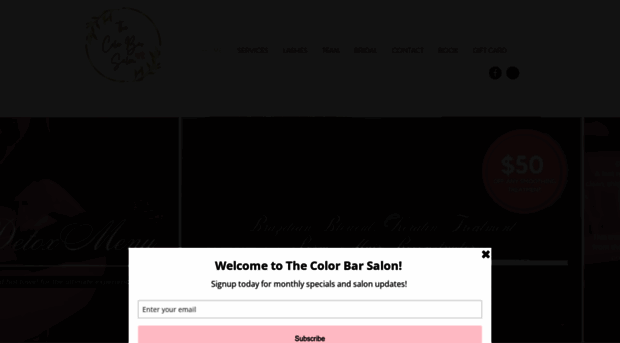 thecolorbarsalon.com