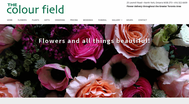 thecolourfield.com