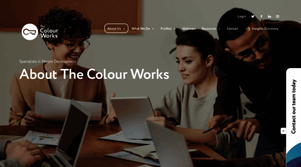 thecolourworks.com