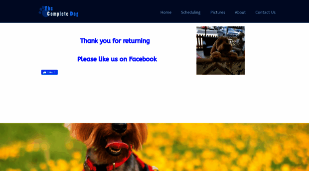 thecompletedogonline.com