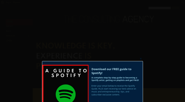 theconsultingagency.com