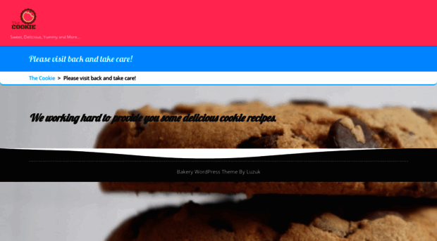 thecookie.in