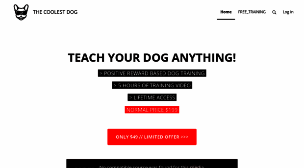 thecoolestdog.com