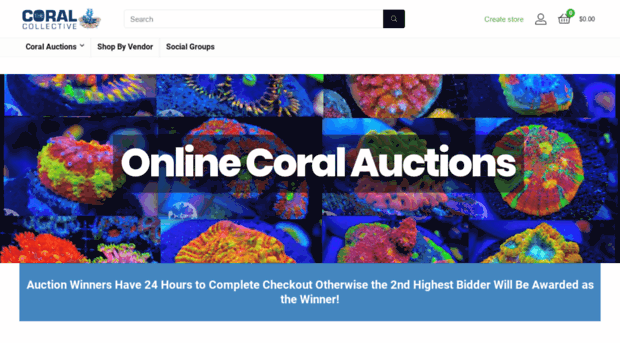 thecoralcollective.com