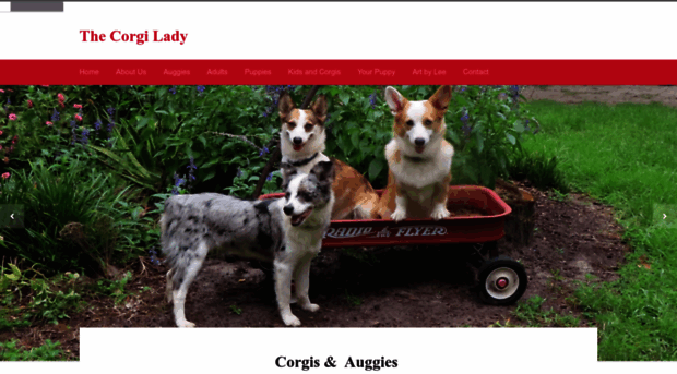 thecorgilady.com