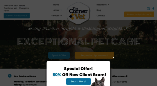 thecornervet.com