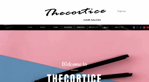 thecortice.com