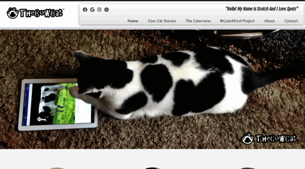 thecowcat.com