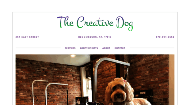 thecreativedog.net