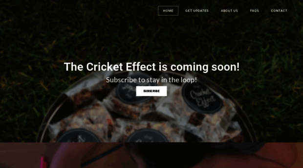 thecricketeffect.weebly.com