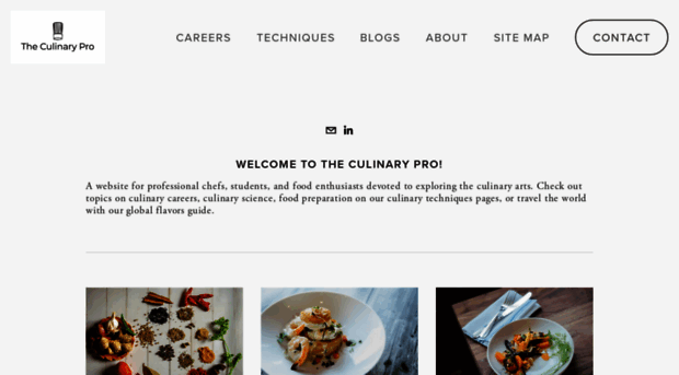 theculinarypro.com