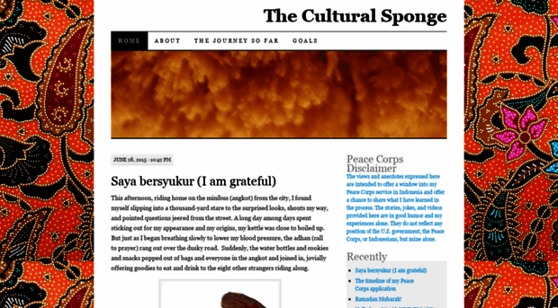 theculturalsponge.wordpress.com