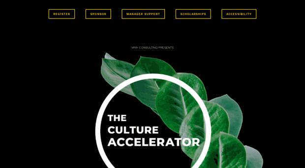 thecultureaccelerator.com