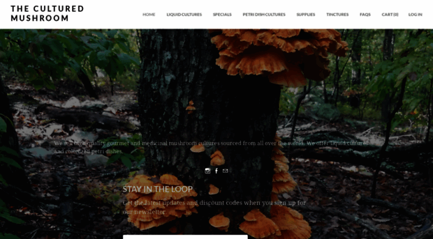 theculturedmushroom.com