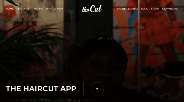 thecut.co