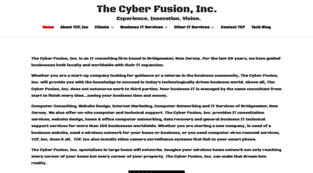 thecyberfusion.com