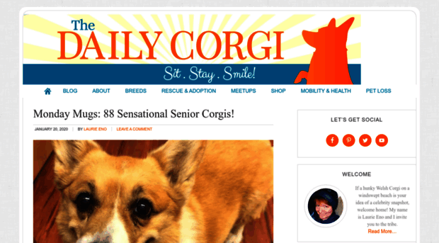 thedailycorgi.com