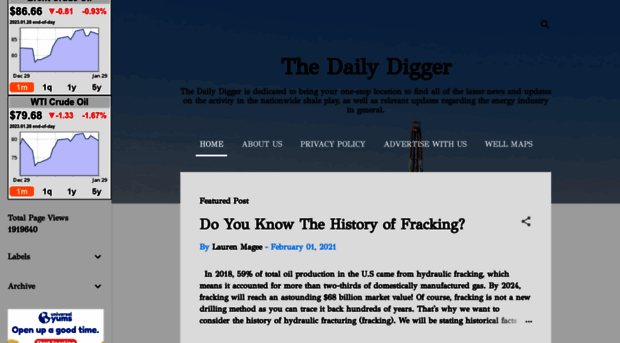 thedailydigger.com