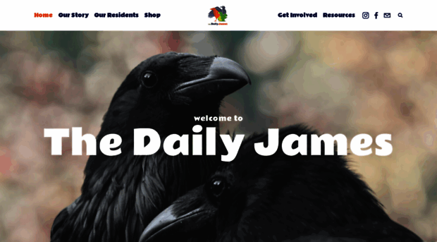 thedailyjameswildlife.com