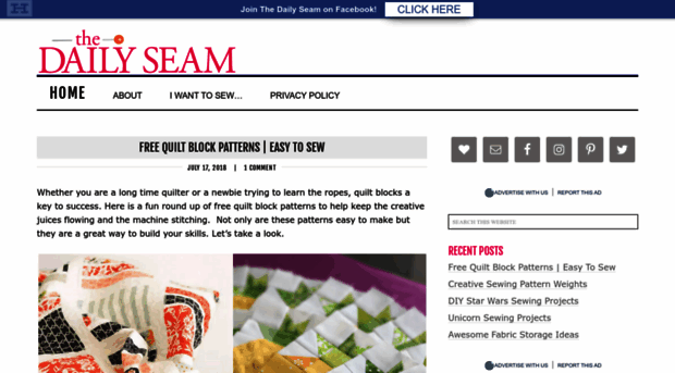 thedailyseam.com