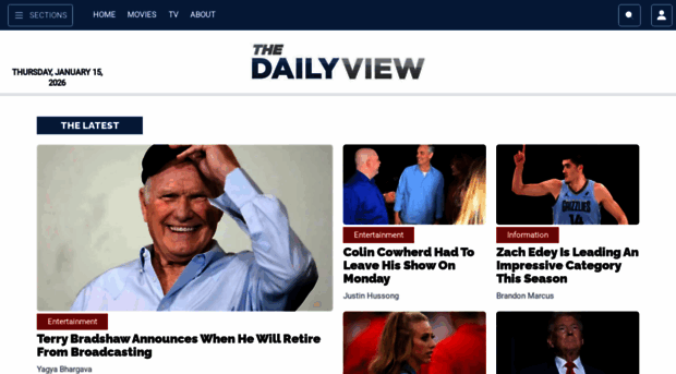 thedailyview.com