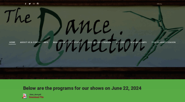 thedanceconnection.net