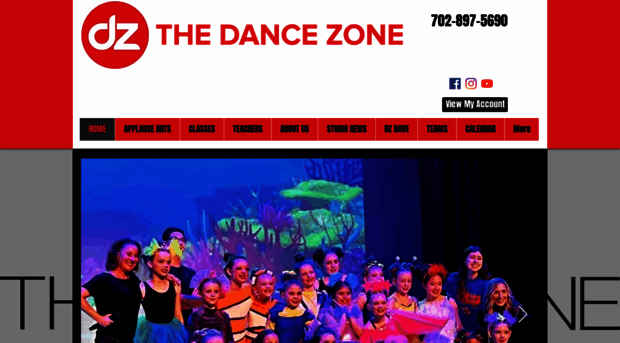 thedancezone.com