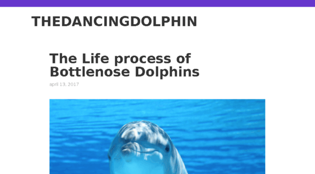 thedancingdolphin.co.uk