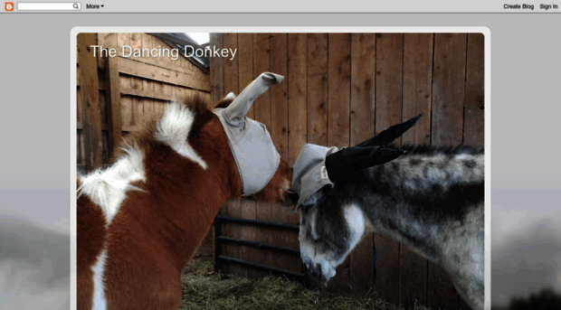 thedancingdonkey.blogspot.de