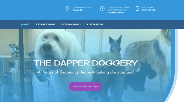 thedapperdoggery.com