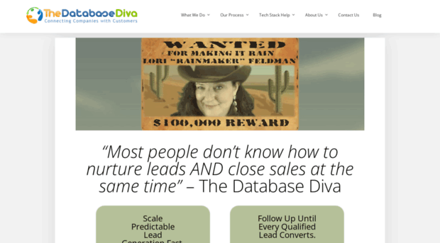 thedatabasediva.com