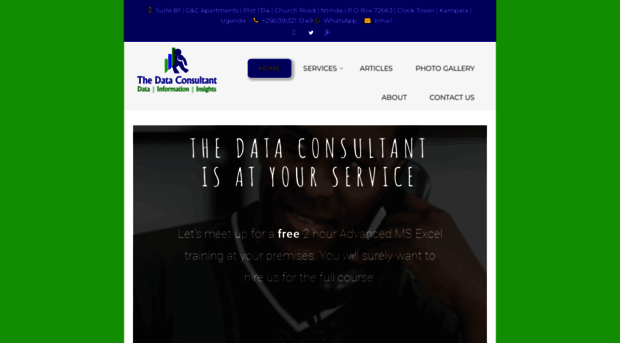 thedataconsultant.com